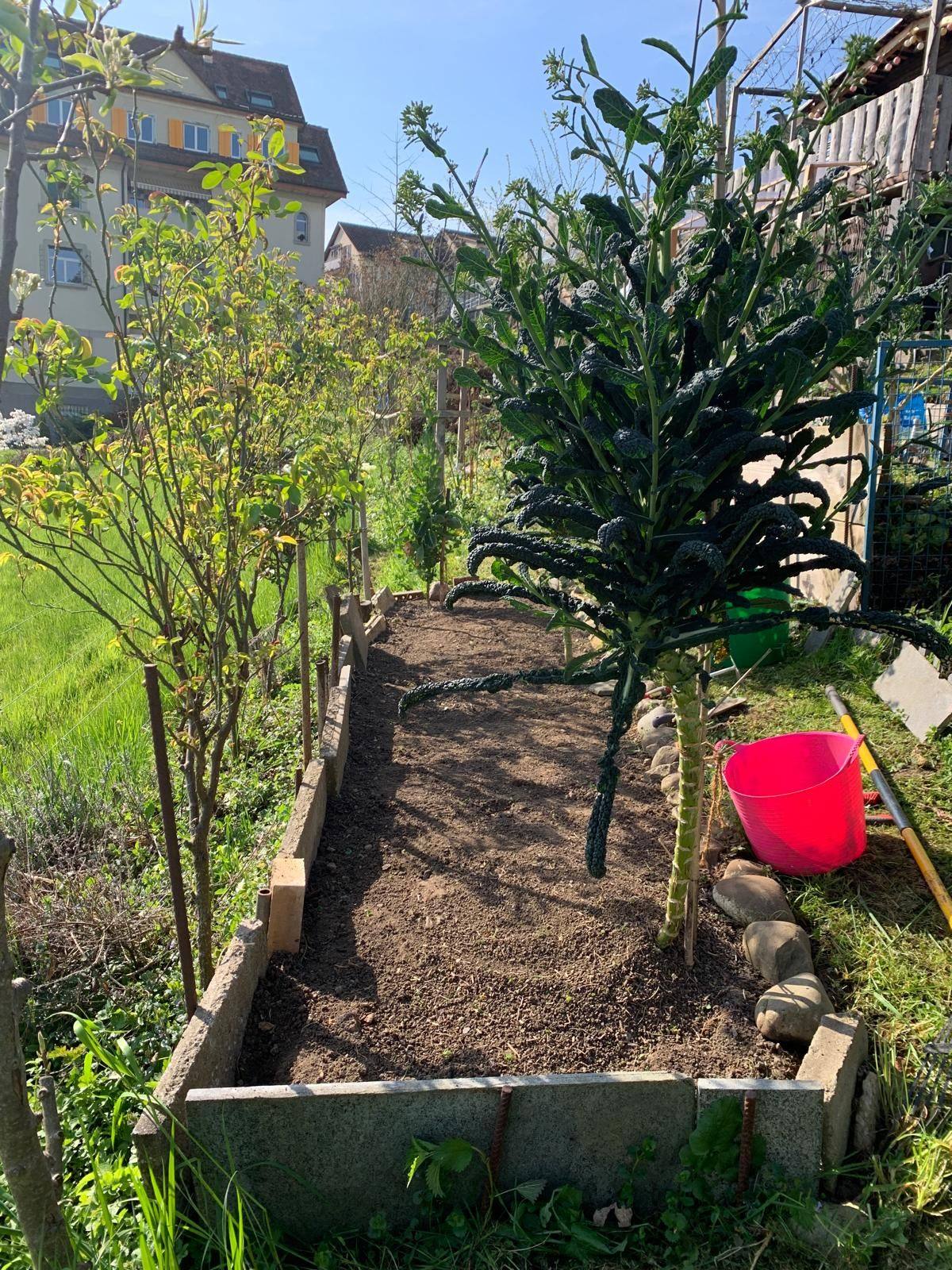 Hochbeet mit frischer Erde und einem jungen Baum
