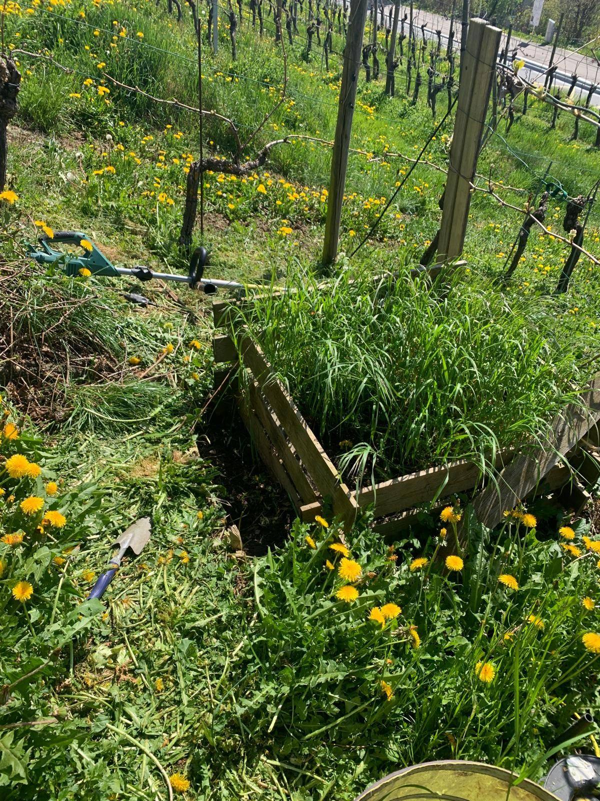 Rebhang mit Hochbeet
